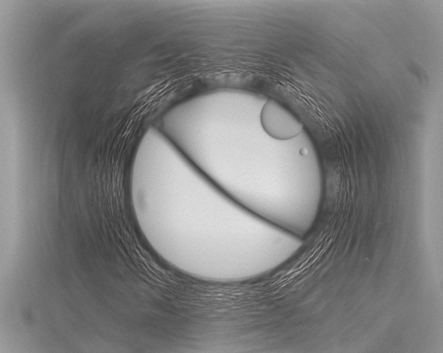 X0000116121058200911230926