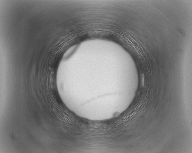 X0000116121059200911230926