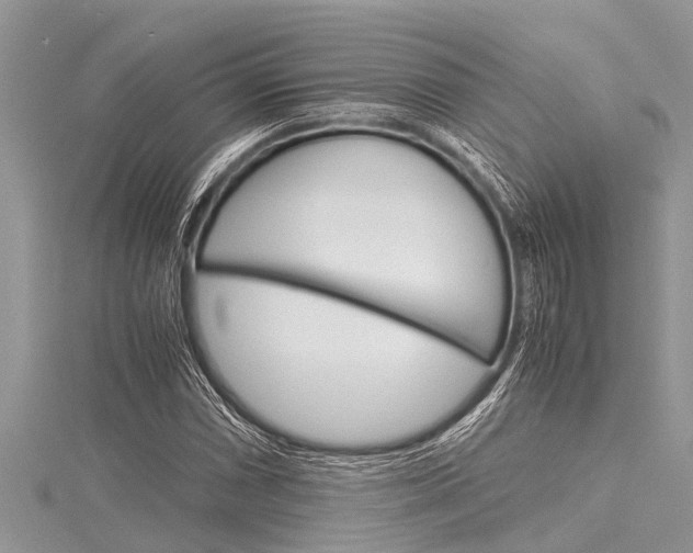 X0000116121066200911230926