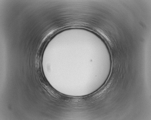 X0000116121067200911230926