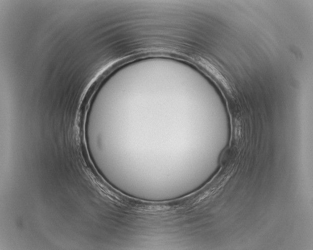 X0000116121068200911230926