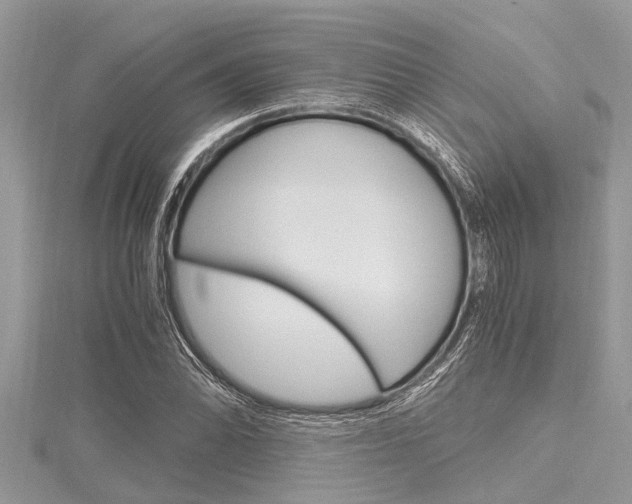 X0000116121070200911230926