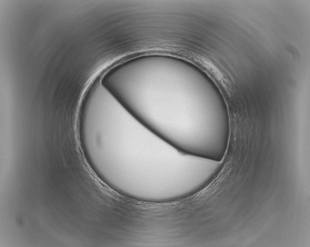X0000116121072200911230926
