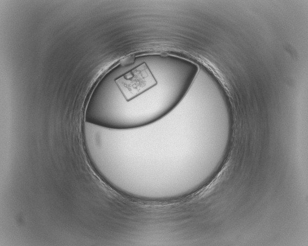 X0000116121081200911230926