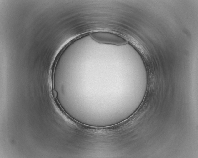 X0000116121084200911230926