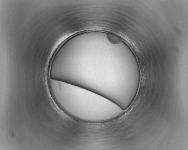X0000116121086200911230926