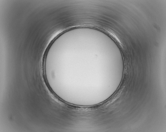X0000116121087200911230926