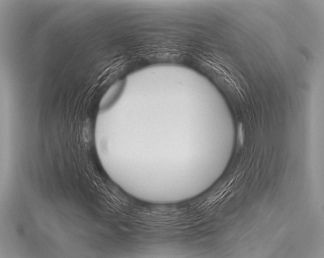 X0000116121107200911230925