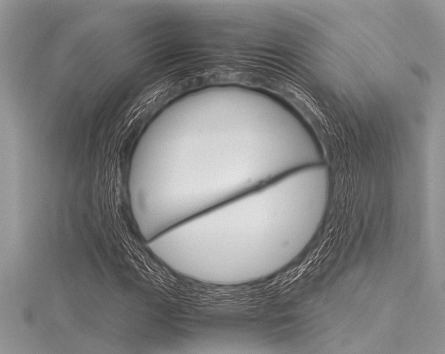 X0000116121111200911230925