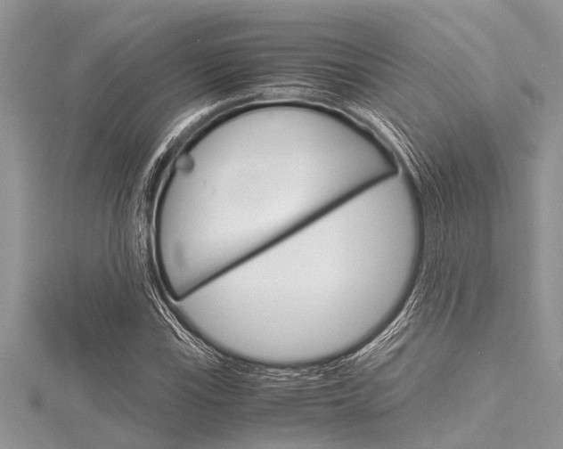 X0000116121115200911230925