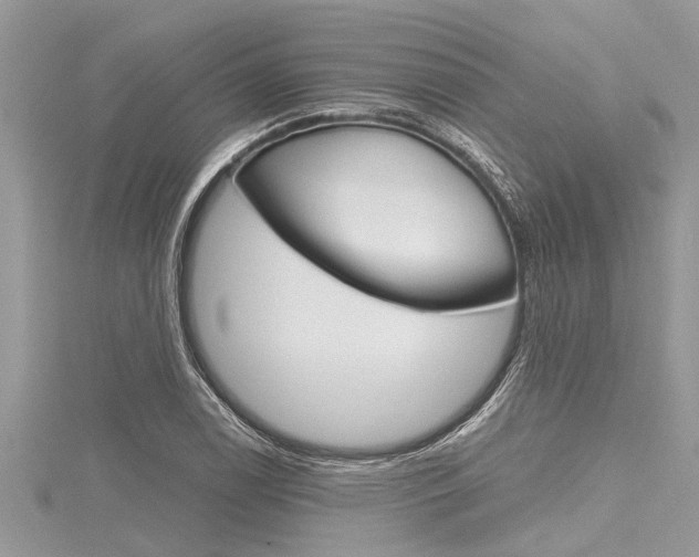 X0000116121122200911230925