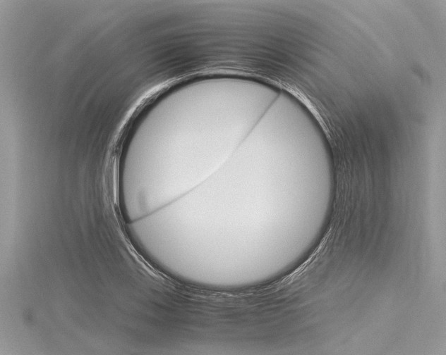 X0000116121123200911230925