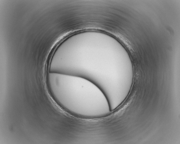 X0000116121126200911230925