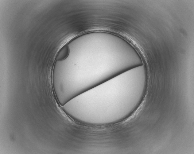 X0000116121137200911230926