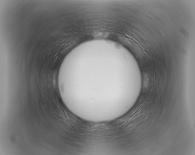 X0000116121154200911230925