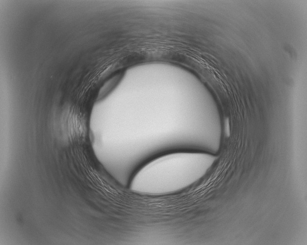 X0000116121155200911230925