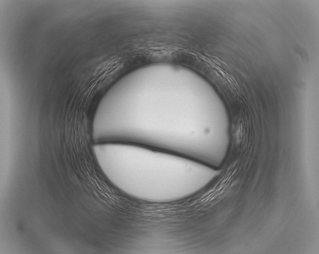X0000116121156200911230925