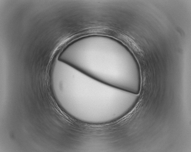 X0000116121164200911230925