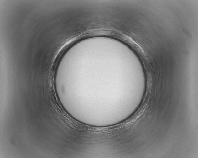 X0000116121166200911230925
