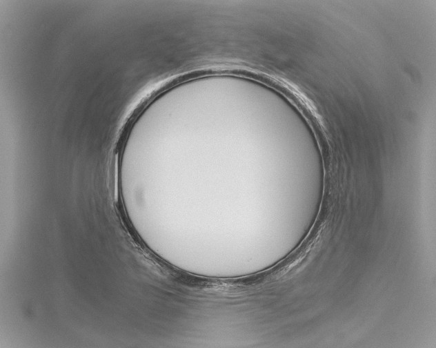 X0000116121175200911230925
