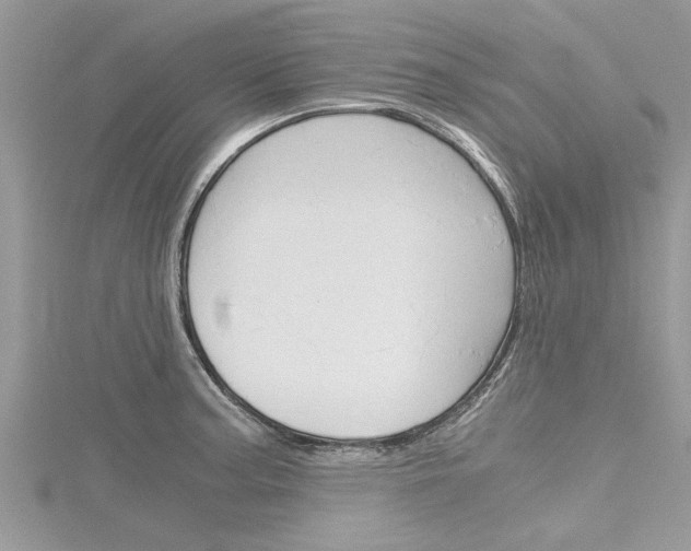 X0000116121187200911230925