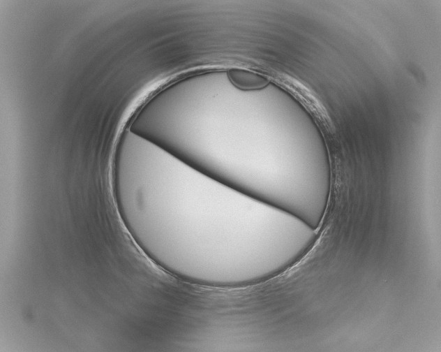 X0000116121188200911230925