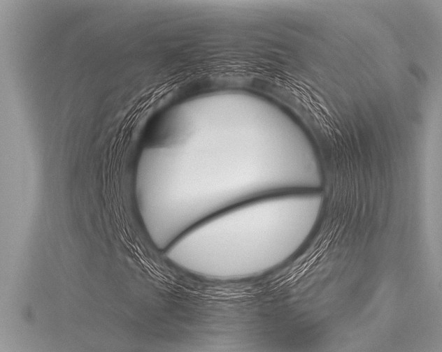 X0000116121201200911230924