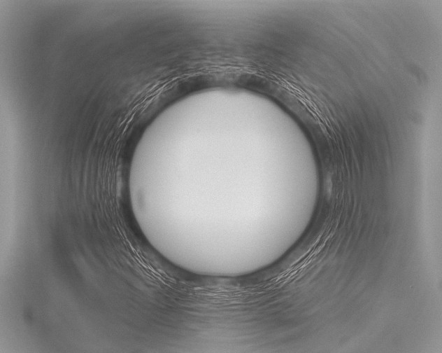 X0000116121204200911230924