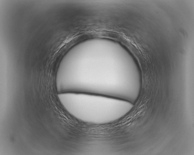 X0000116121206200911230924