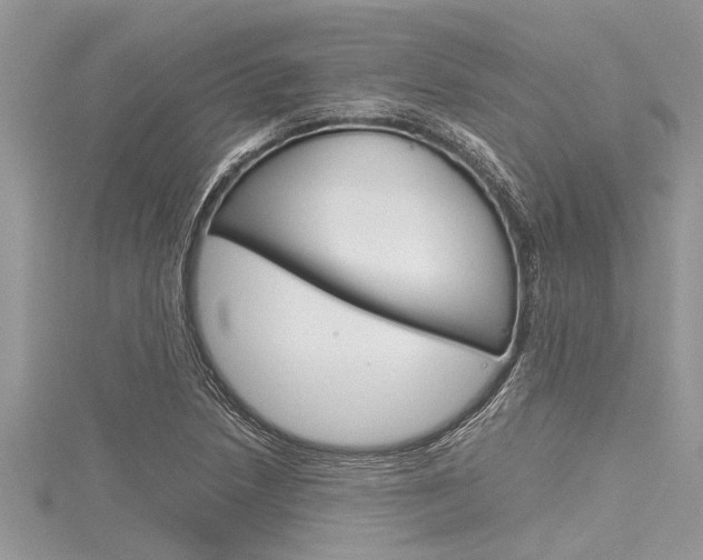 X0000116121218200911230924
