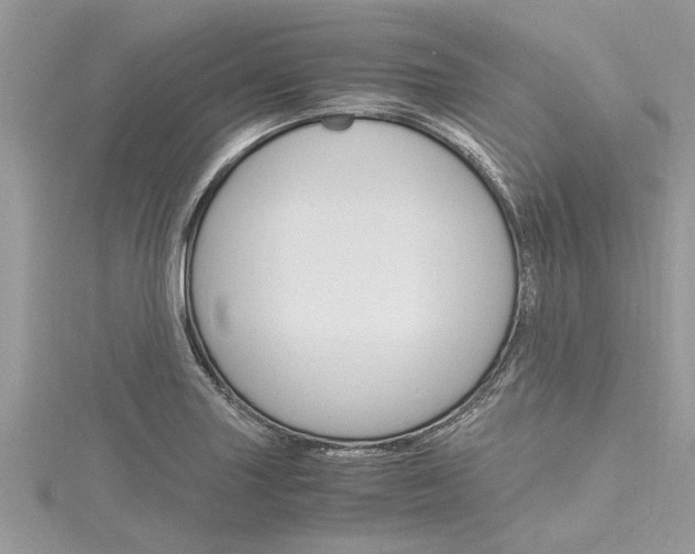 X0000116121227200911230924