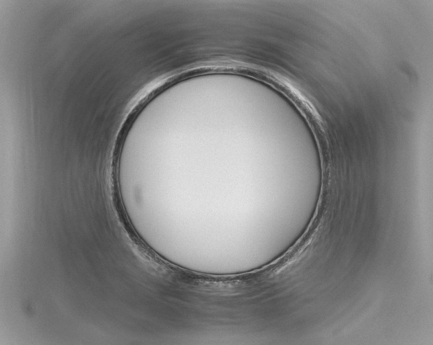 X0000116121229200911230924