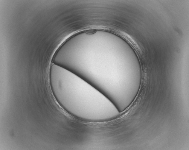 X0000116121236200911230924