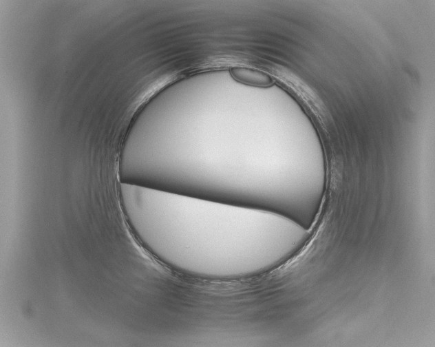 X0000116121241200911230924
