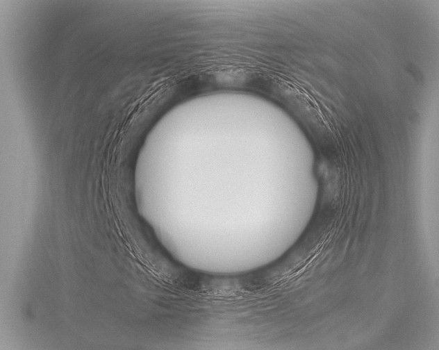 X0000116121249200911230924