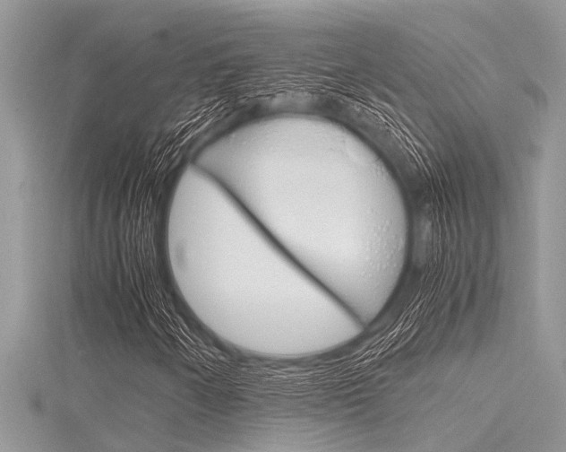 X0000116121250200911230924