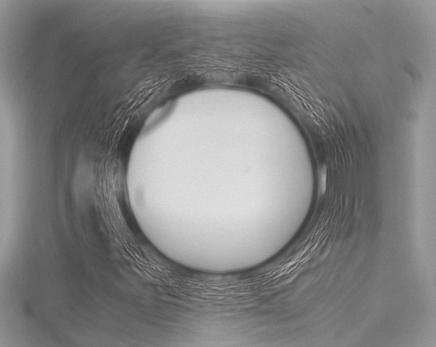 X0000116121251200911230924