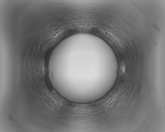 X0000116121252200911230924