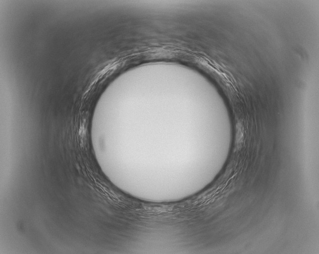 X0000116121254200911230924