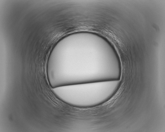 X0000116121257200911230924