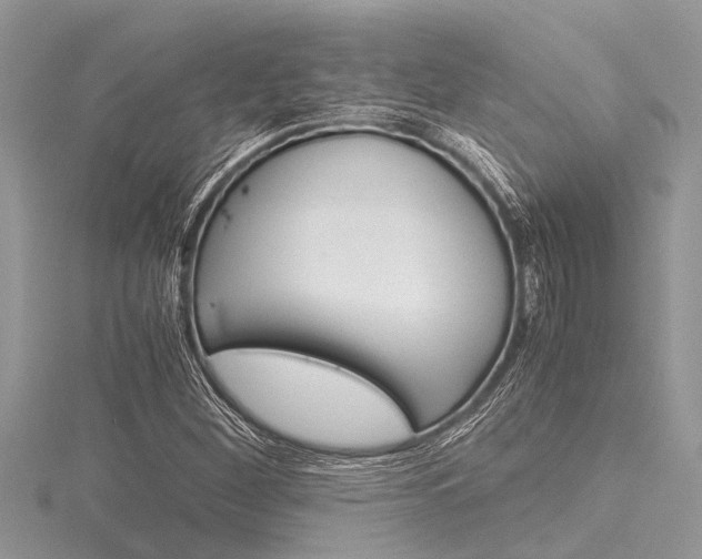 X0000116121260200911230924
