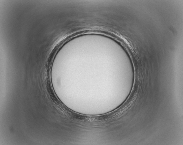 X0000116121263200911230924