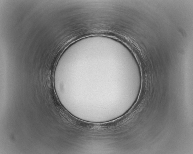 X0000116121265200911230924