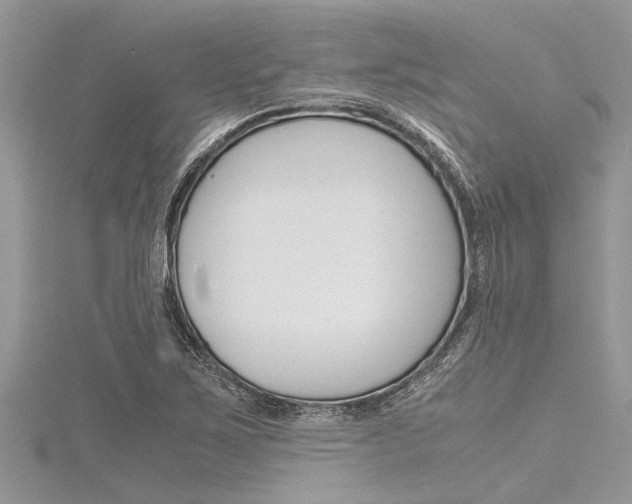 X0000116121267200911230924