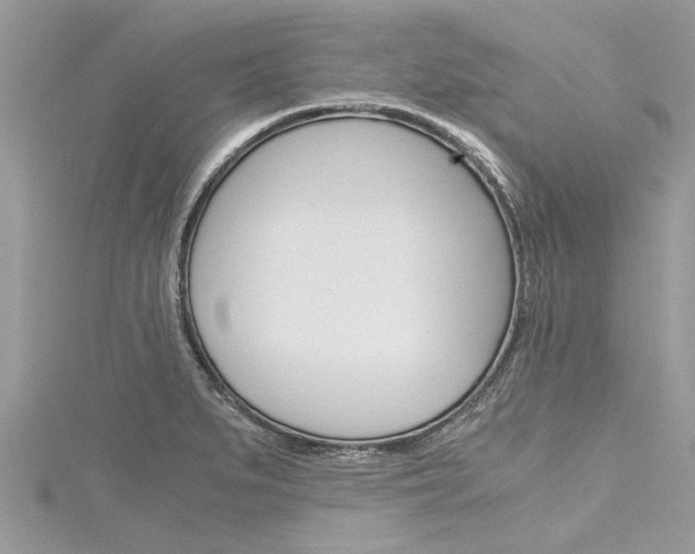 X0000116121279200911230924