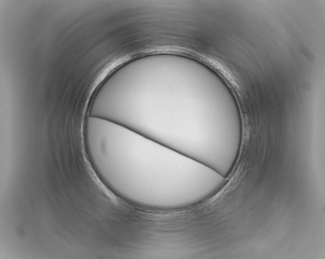 X0000116121282200911230923