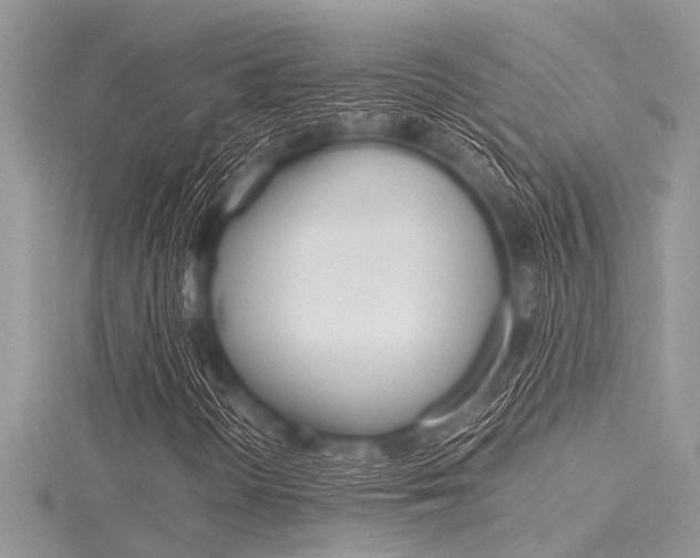 X0000116121298200911230922