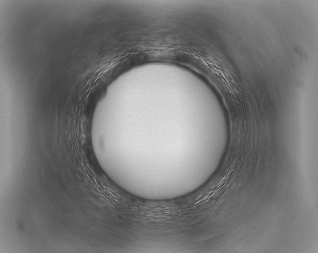 X0000116121301200911230922