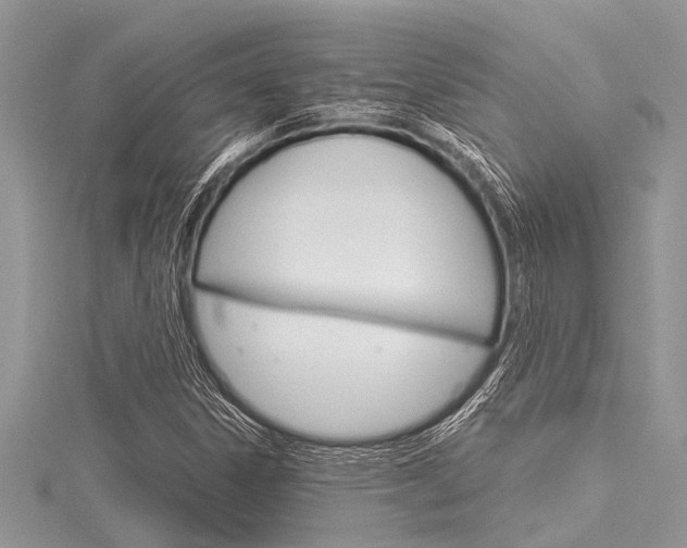 X0000116121306200911230922