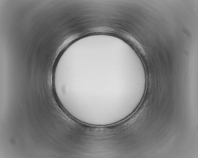 X0000116121322200911230923